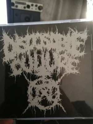 Mister Bigglesworth : Disposable Culture Sampler